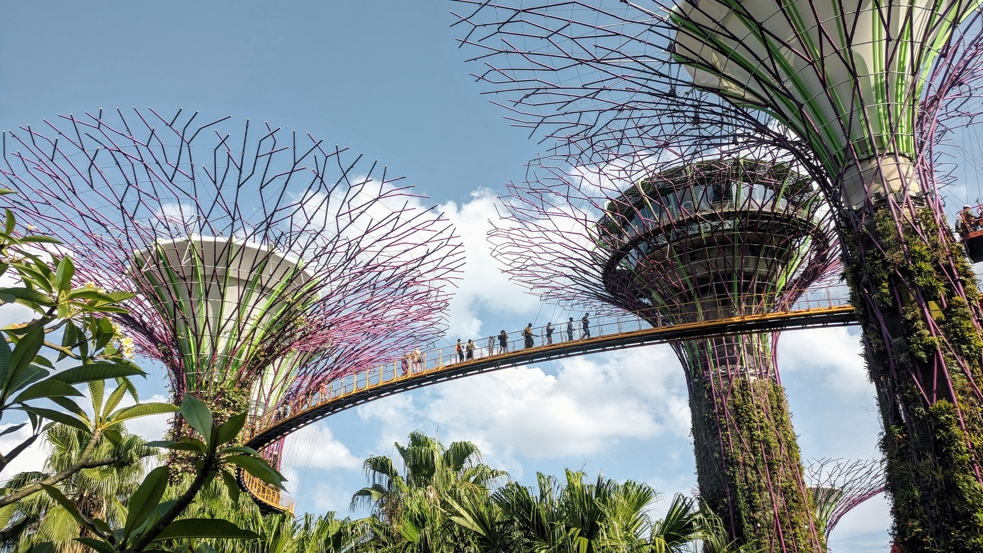 El área del parque Gardens by the Bay en Singapur.